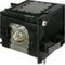 Click to view classifieds QXGVQUMM