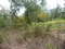 Click to view classifieds XELVLMEY