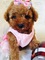 Click to view classifieds XTJMKLMN
