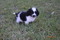 Click to view classifieds DBRFOEPD