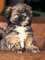 Click to view classifieds DKHNLKTU