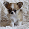 Click to view classifieds RCCKPQQH