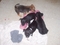 Click to view classifieds SPDRWXVD