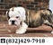 Click to view classifieds BCULGWDY