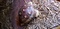 Click to view classifieds ZOVDWCCZ