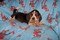 Click to view classifieds BSLZXLXG