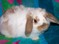 Click to view classifieds AFZMQVDG
