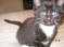 Click to view classifieds KWWXMRCW