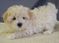 Click to view classifieds HZSWYFAT