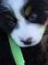Click to view classifieds HNTREGLH