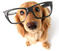Click to view classifieds MHZXLKZV