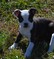 Click to view classifieds LYXLPRTL