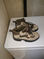 Click to view classifieds DSPFRZBU