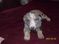 Click to view classifieds FHPXYLNY