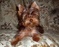 Click to view classifieds BUZTHNWG