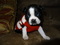 Click to view classifieds OUMWSXXW