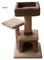 Click to view classifieds ZGKYPFVR