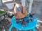 Click to view classifieds MNXSQFLH