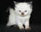 Click to view classifieds VDXPVQKB