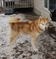 Click to view classifieds BBOBOMWP