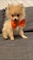 Click to view classifieds YKMYOWPR