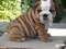 Click to view classifieds RGWMEJTE