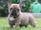 Click to view classifieds TSBYQDXZ