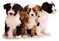 Click to view classifieds QDPMRULL