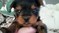 Click to view classifieds WJEGNDRZ