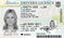 Click to view classifieds RPSBNYXZ