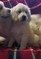 Click to view classifieds OHETGEZK