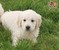 Click to view classifieds VGZQWBPY
