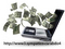 Click to view classifieds BDKNTBJC