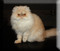 Click to view classifieds LLZUEZRR