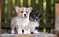 Click to view classifieds MQNBPFAE