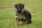 Click to view classifieds NVNPDVJC