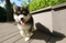 Click to view classifieds PKWFRUKZ
