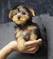 Click to view classifieds ANRTTWBZ