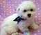 Click to view classifieds OGSEPSWD