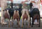 Click to view classifieds VPAYZMGB
