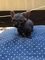 Click to view classifieds WHOXUYMP