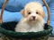 Click to view classifieds CDDZTWOZ