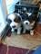 Click to view classifieds LVRXAQWH