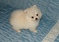 Click to view classifieds JLLBXJRT