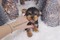 Click to view classifieds OHYREZQB