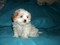 Click to view classifieds DZZAUQOJ