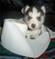 Click to view classifieds EREEZDCU