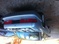 Click to view classifieds WESHUMRJ