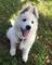 Click to view classifieds BCZGSODU