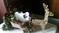 Click to view classifieds EHKTZRHV